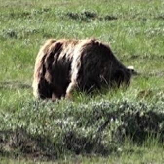 Screen Shot 2016-07-14 at 11.08.05 PM.jpg